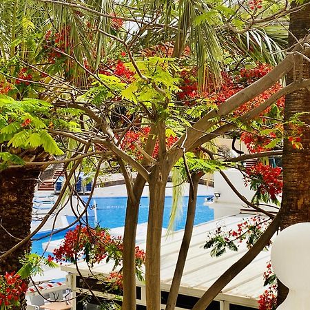 Castle Harbour Melanie'S Apartment By Lovetenerife Los Cristianos  Esterno foto